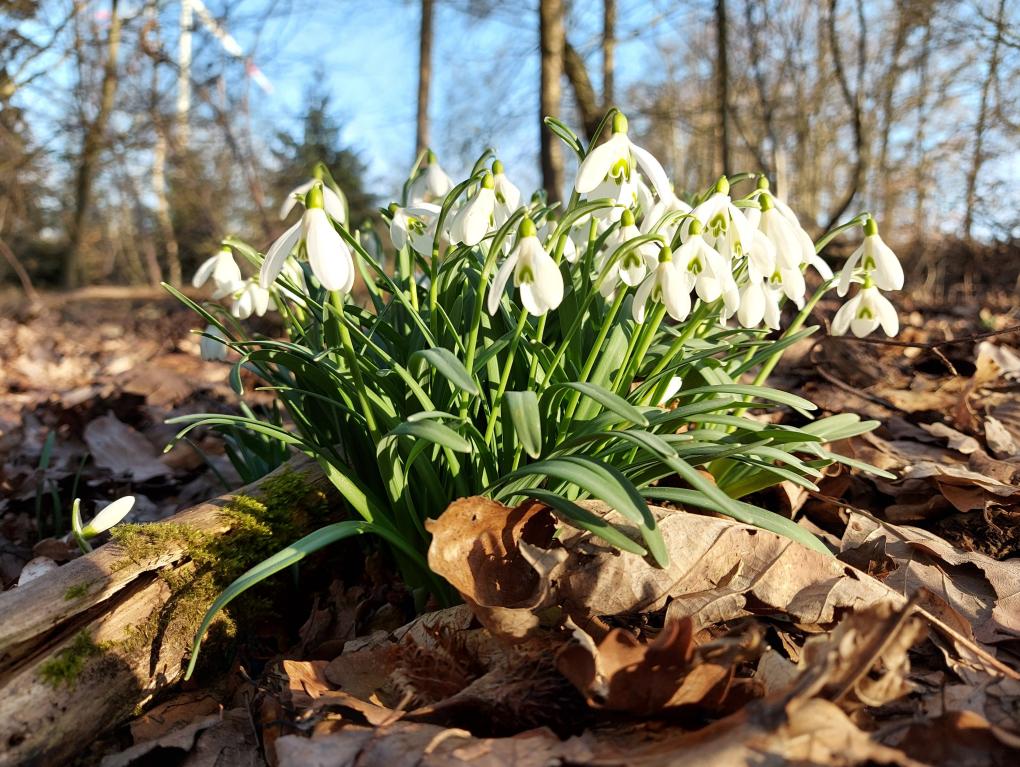 20210302_162813_by_Kerstin_Dupont_pfarrbriefservice