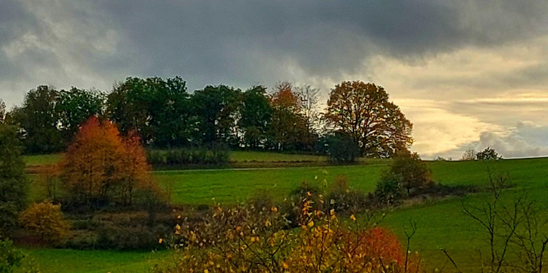 Herbst