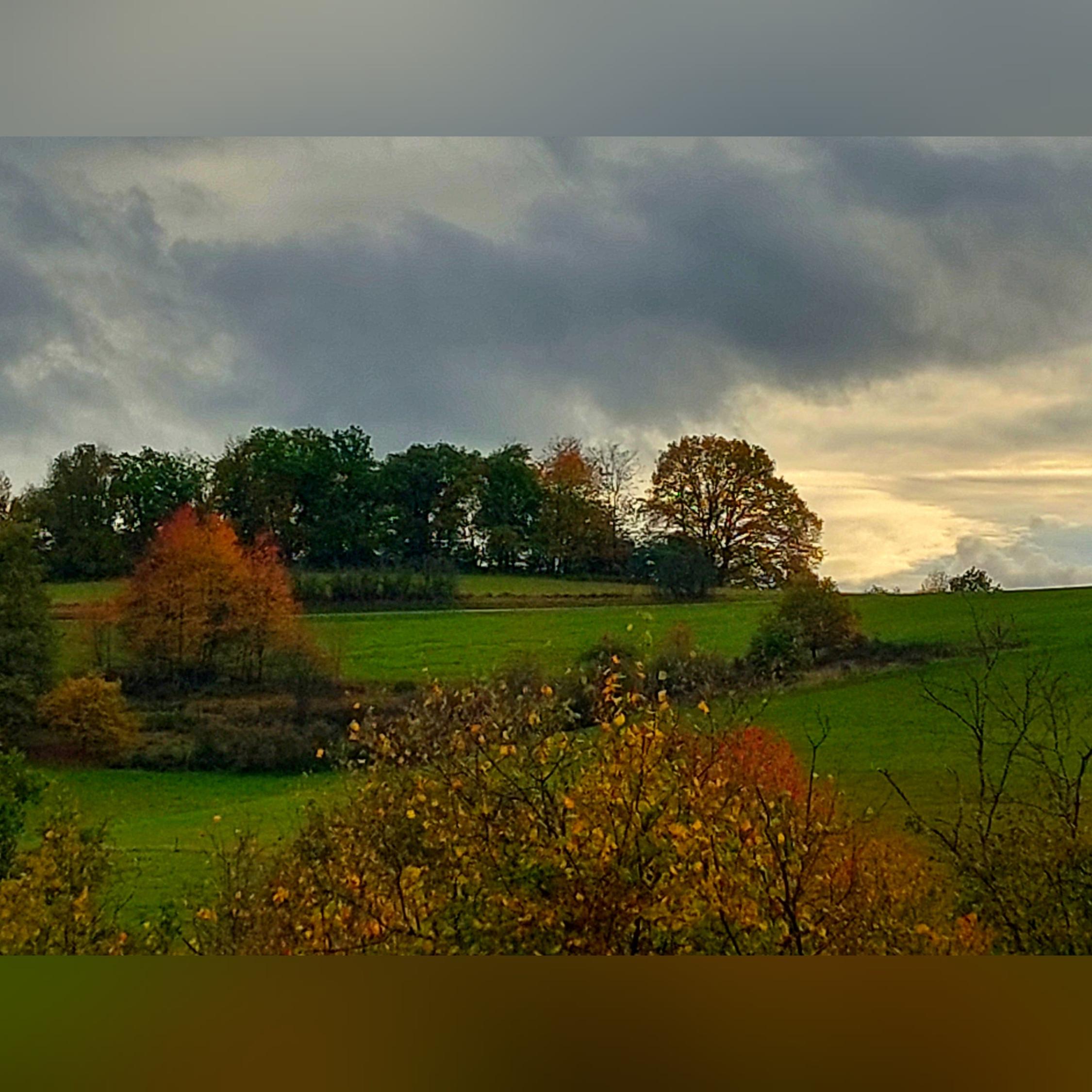 Herbst