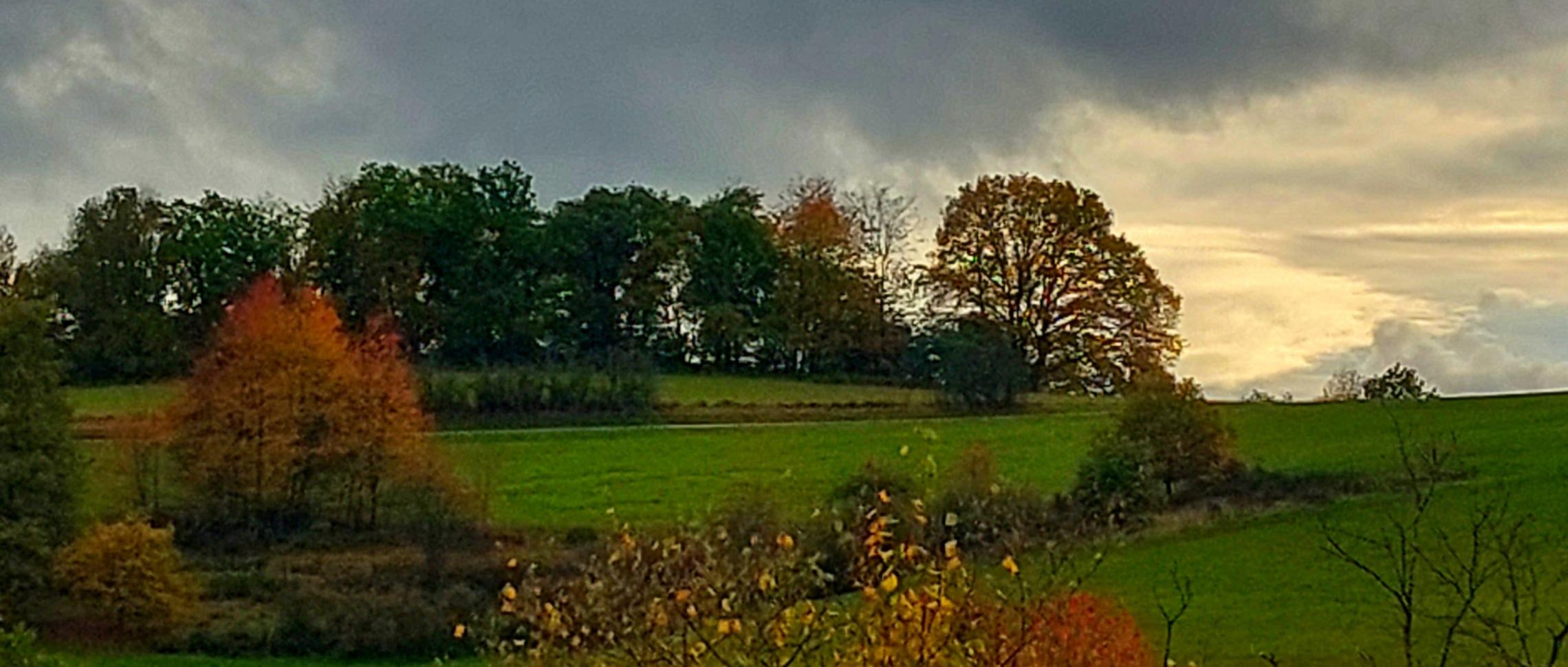 Herbst