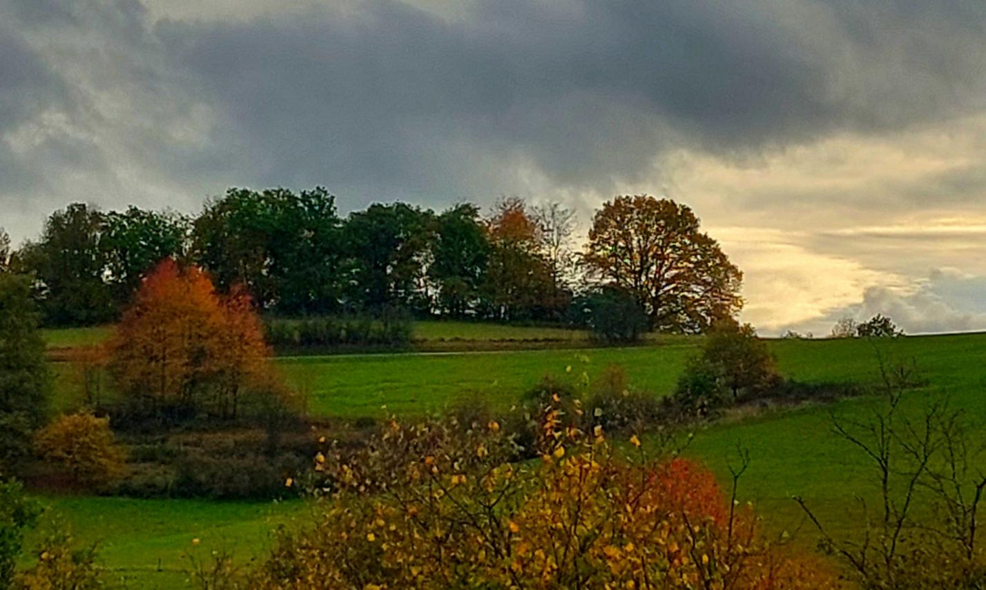 Herbst
