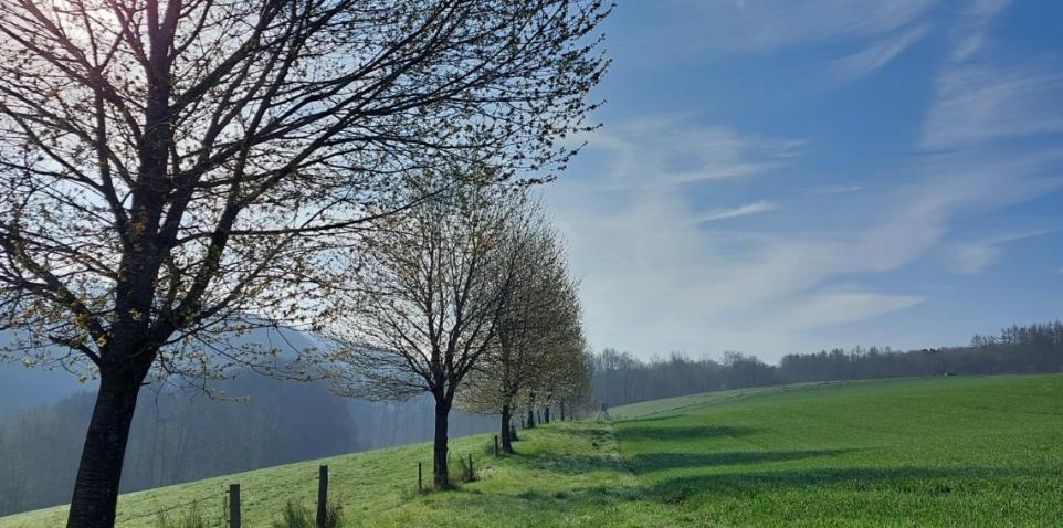 Frühling Bild 2