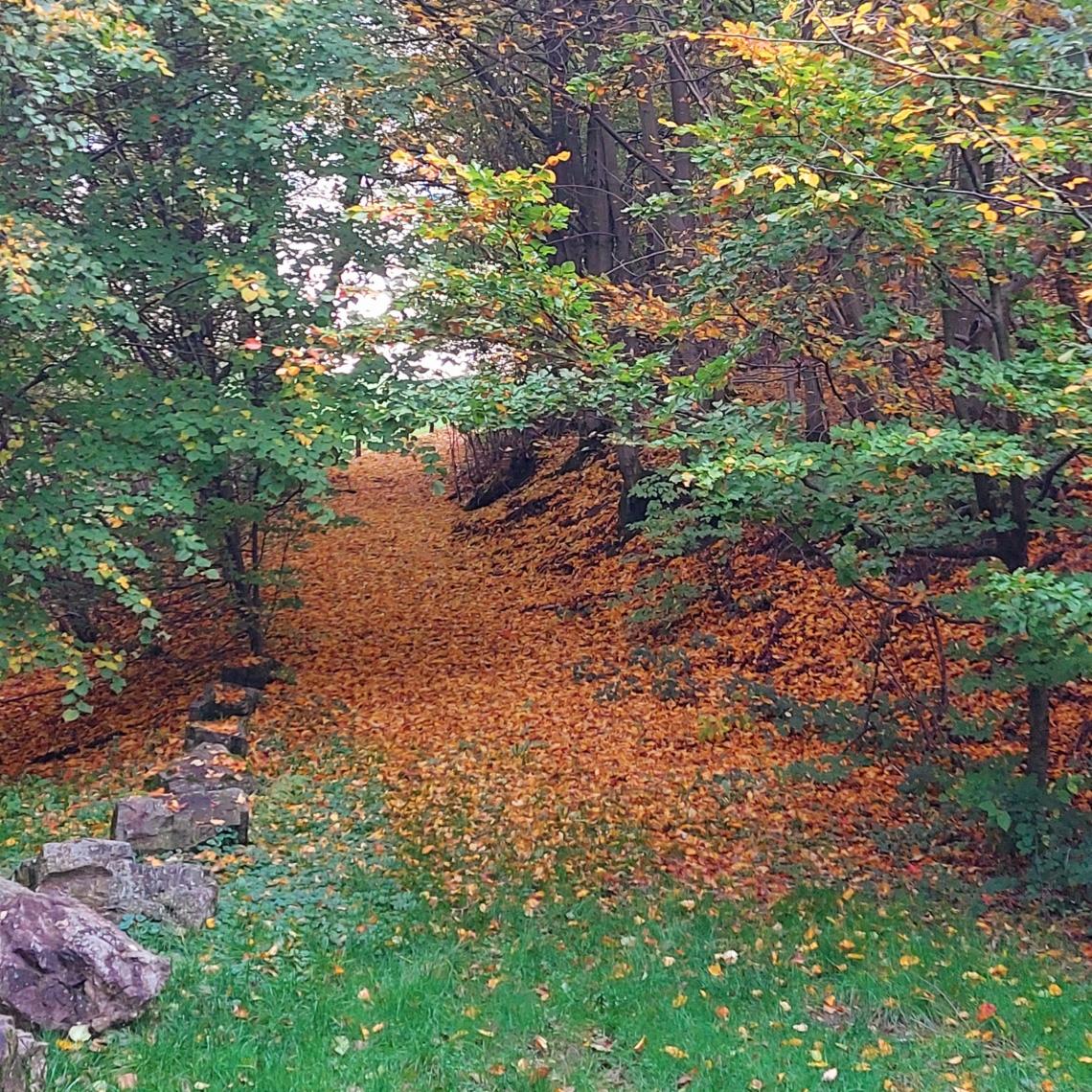 Herbst N.HP