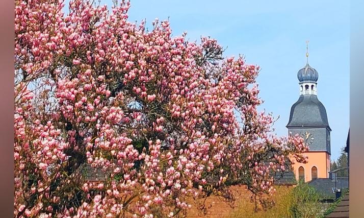 Im Frühjahr, Kirchturm Kreuzerhöhung