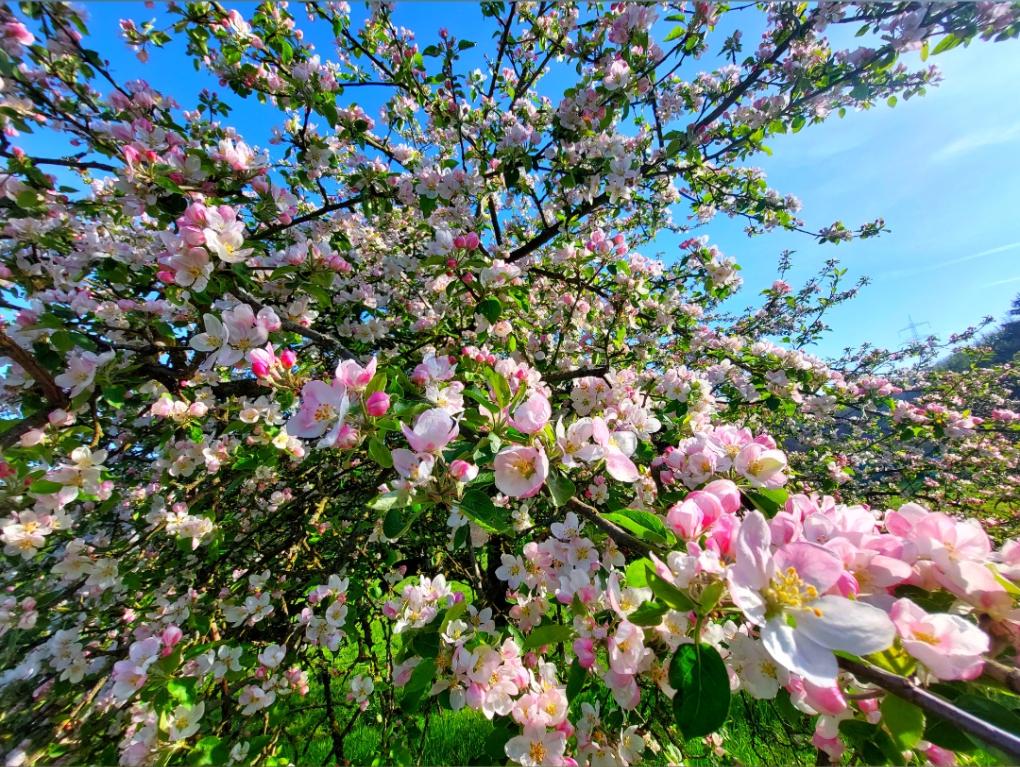 Mai 2023 Natur 1