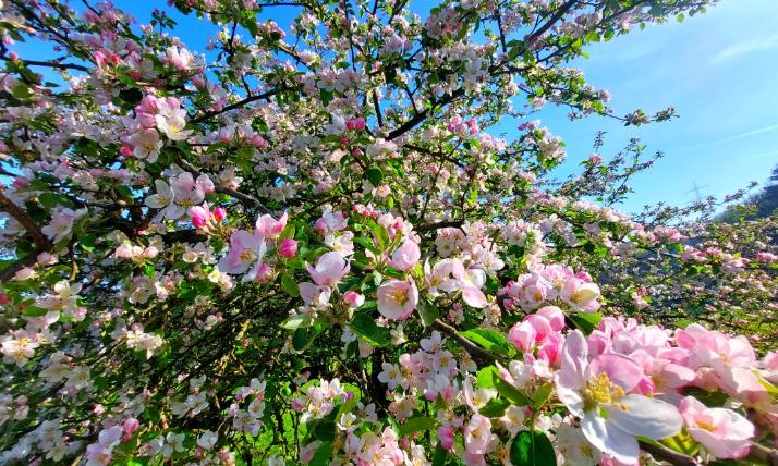 Mai 2023 Natur 1