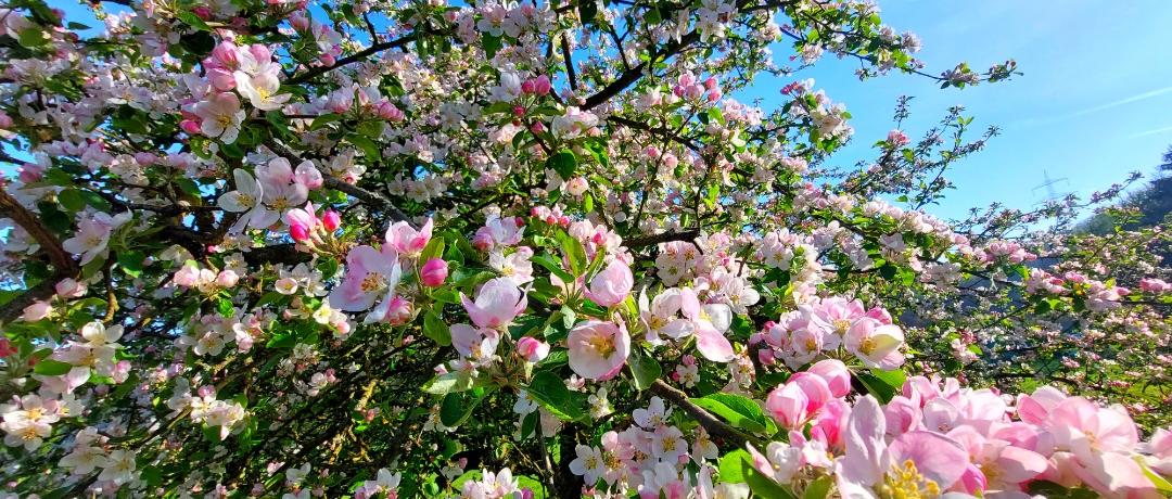 Mai 2023 Natur 1