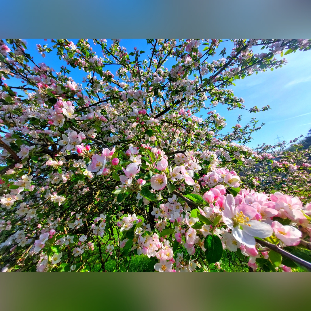 Mai 2023 Natur 1