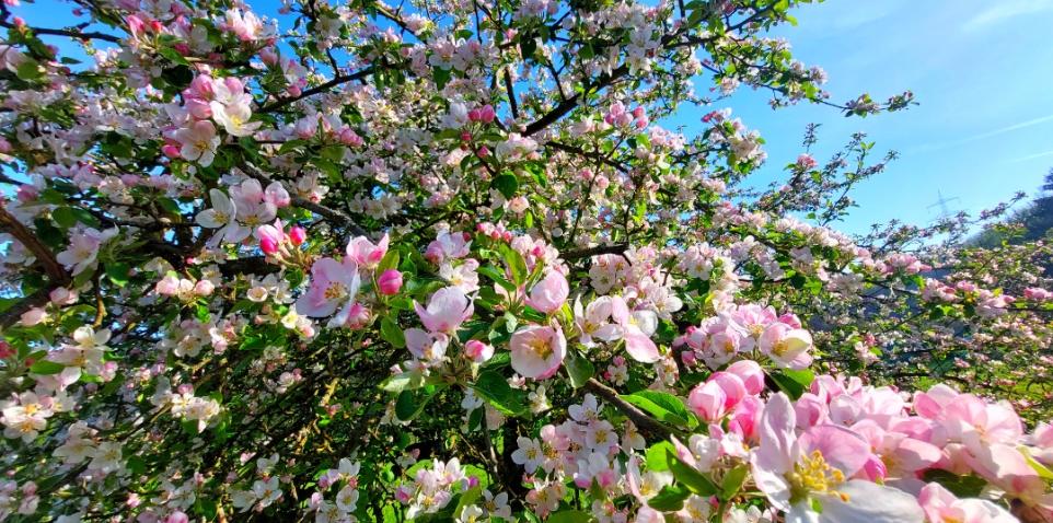 Mai 2023 Natur 1
